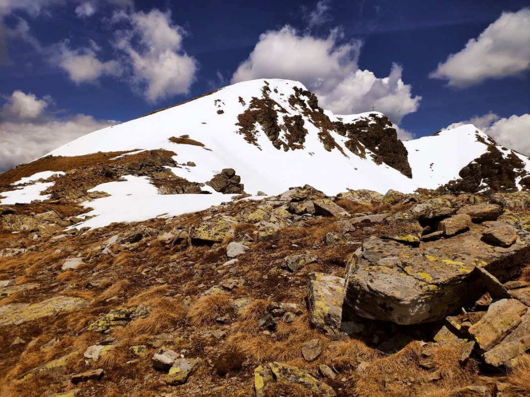 Geierhaupt Geierhaupt