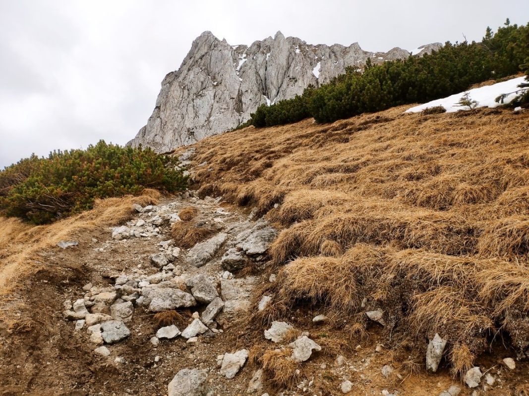 Fölzstein Fölzstein