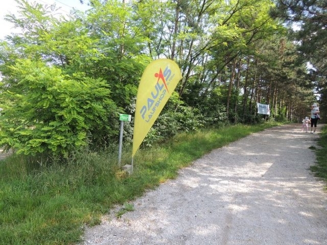 Viehofner Seelauf (C) Veranstalter Viehofner Seelauf (C) Veranstalter