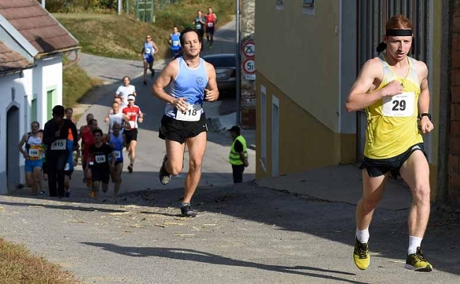 Poysdorfer Winzerlauf (C) newetschny.com Poysdorfer Winzerlauf (C) newetschny.com