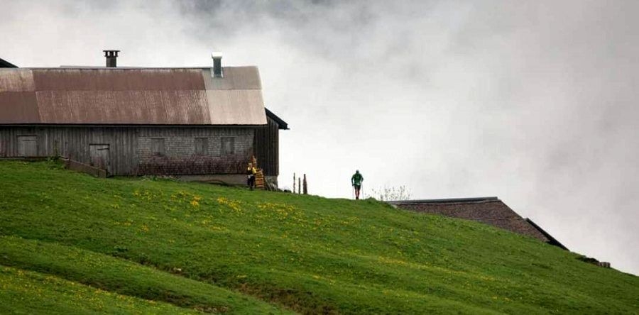 Bizau Trail- bzw. Erlebnistraillauf; Bizau Ultra, Foto: Veranstalter Bizau Trail- bzw. Erlebnistraillauf; Bizau Ultra, Foto: Veranstalter