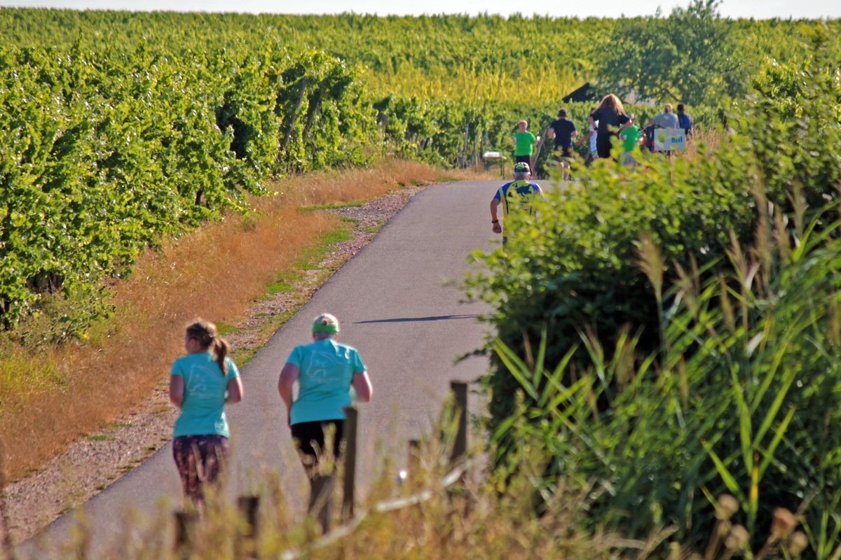 Rieslinglauf, Foto: Veranstalter Rieslinglauf, Foto: Veranstalter