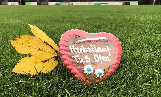 Herbstlauf Ofen(C) Veranstalter Herbstlauf Ofen(C) Veranstalter