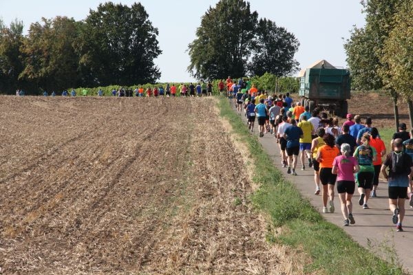 Erlebnislauf Deutsche WeinStrasse (C) Veranstalter Erlebnislauf Deutsche WeinStrasse (C) Veranstalter