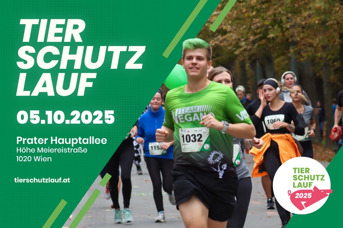 Tierschutzlauf Tierschutzlauf