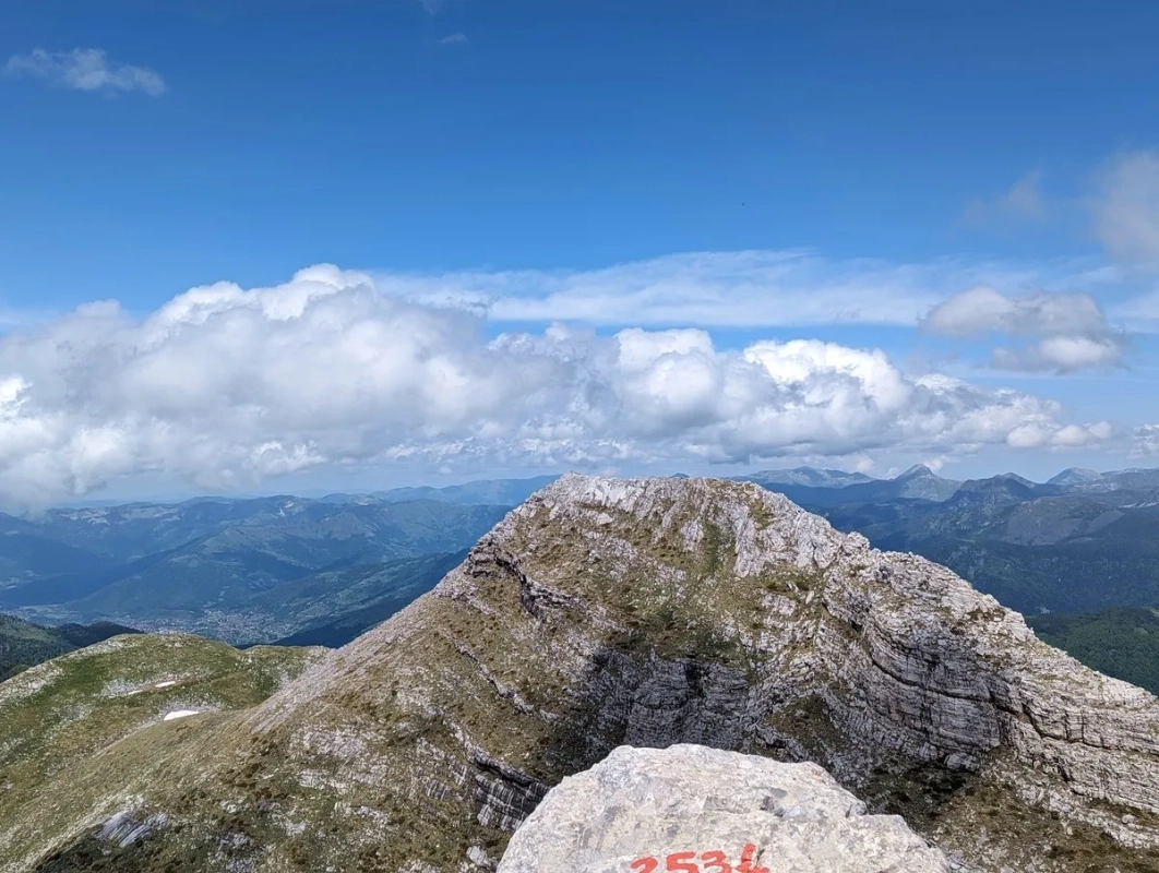 Dobra Kolata Dobra Kolata