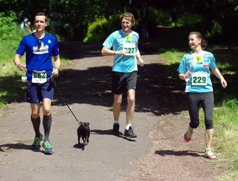 Welterbe-Luther-Marathon (C) Veranstalter Welterbe-Luther-Marathon (C) Veranstalter