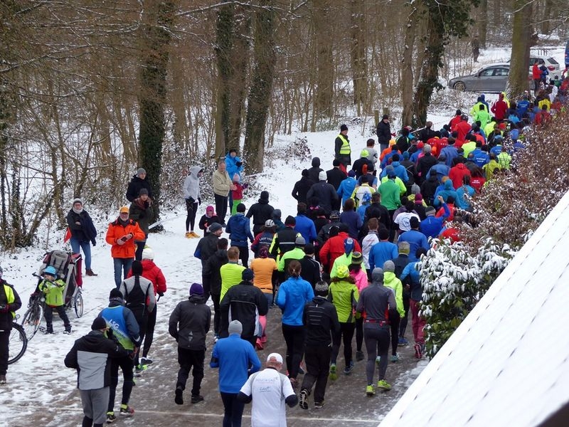 Rißnert-Lauf Karlsruhe (C) Veranstalter Rißnert-Lauf Karlsruhe (C) Veranstalter