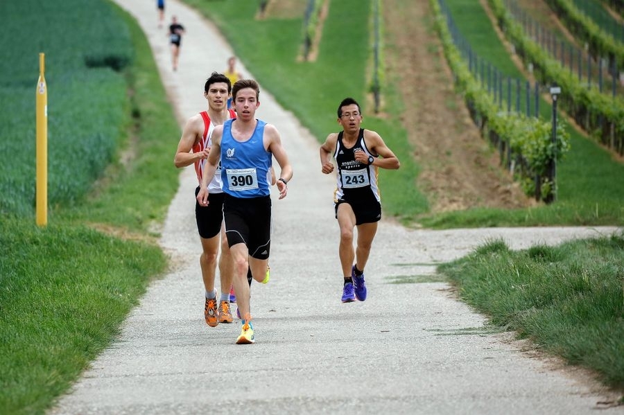 Weinbergslauf Grünstadt (C) Veranstalter Weinbergslauf Grünstadt (C) Veranstalter
