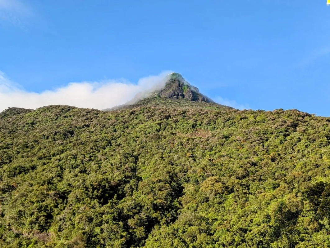 Adam's Peak im Jahr 2025 Adam's Peak im Jahr 2025