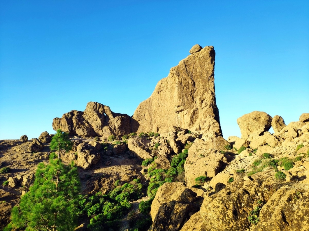 Roque Nublo 2022 Roque Nublo 2022