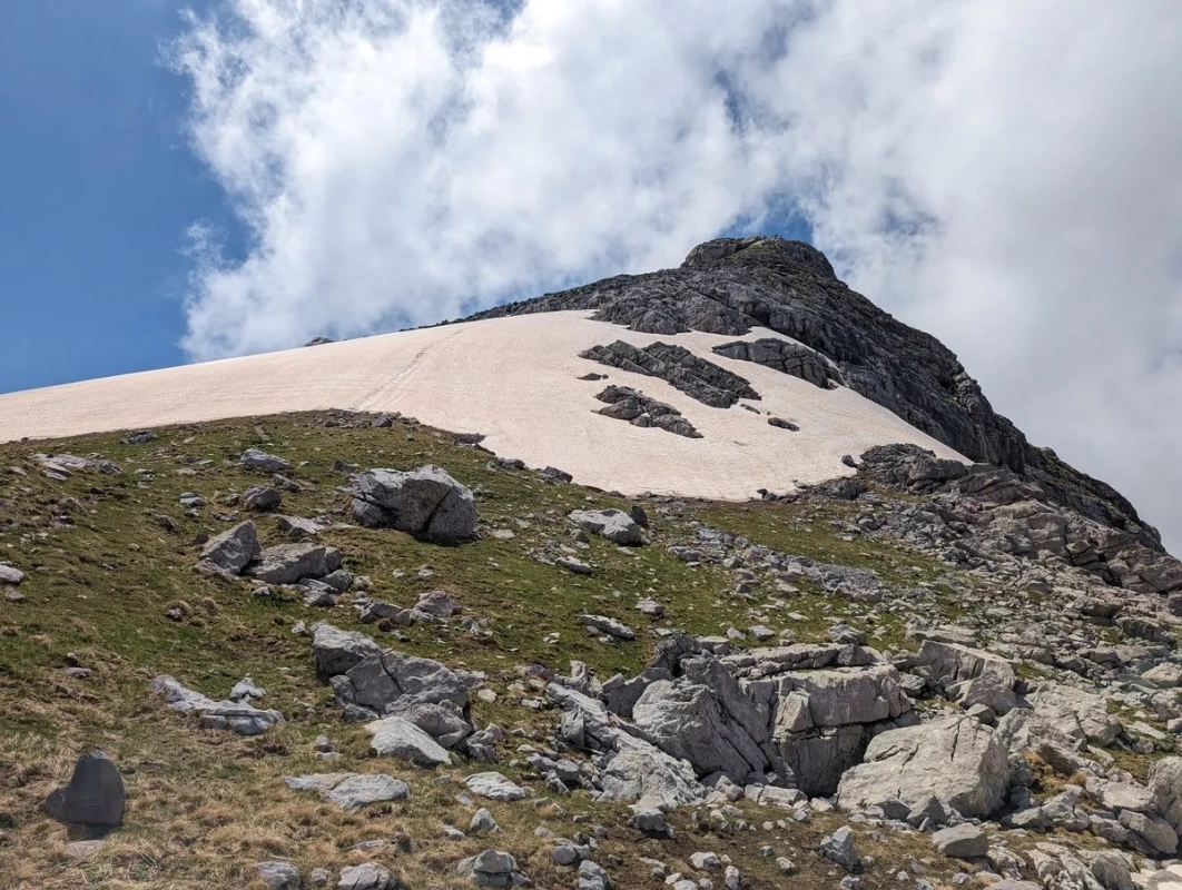 Zla Kolata im Jahr 2024 Zla Kolata im Jahr 2024