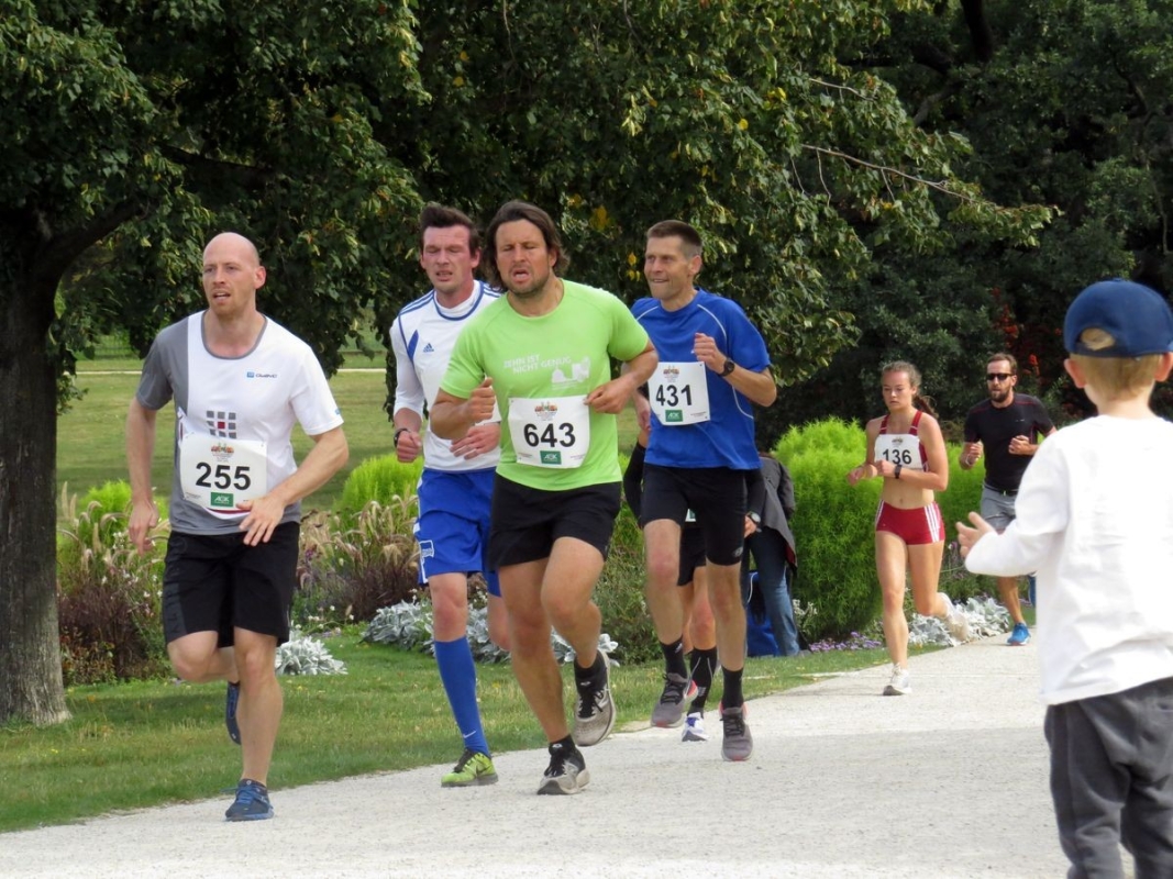 Intersport Olympia Lauf Potsdam, Foto: Veranstalter Intersport Olympia Lauf Potsdam, Foto: Veranstalter