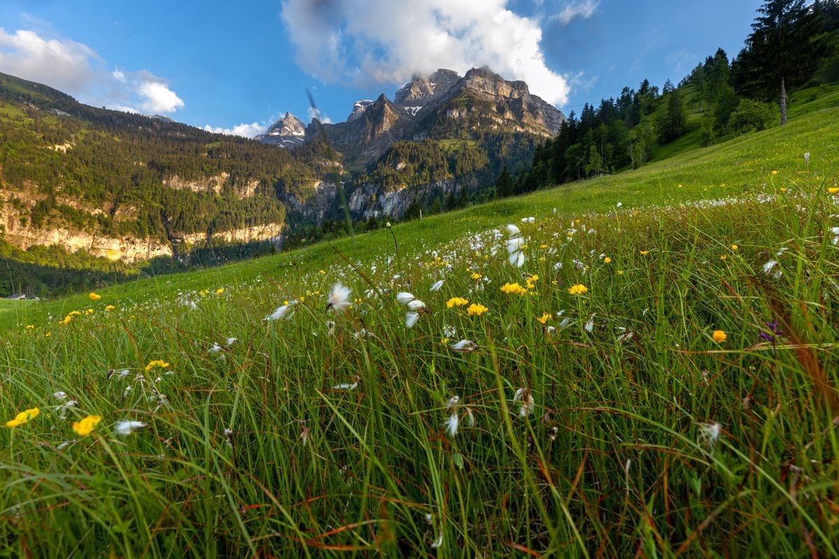 Bannalper Berglauf, Foto: Veranstalter Bannalper Berglauf, Foto: Veranstalter