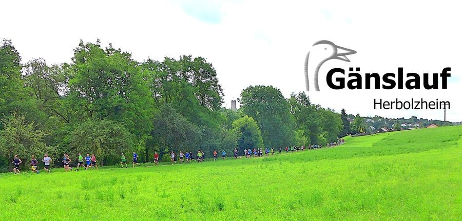 Herbolzheimer Gänslauf (c) Veranstalter Herbolzheimer Gänslauf (c) Veranstalter