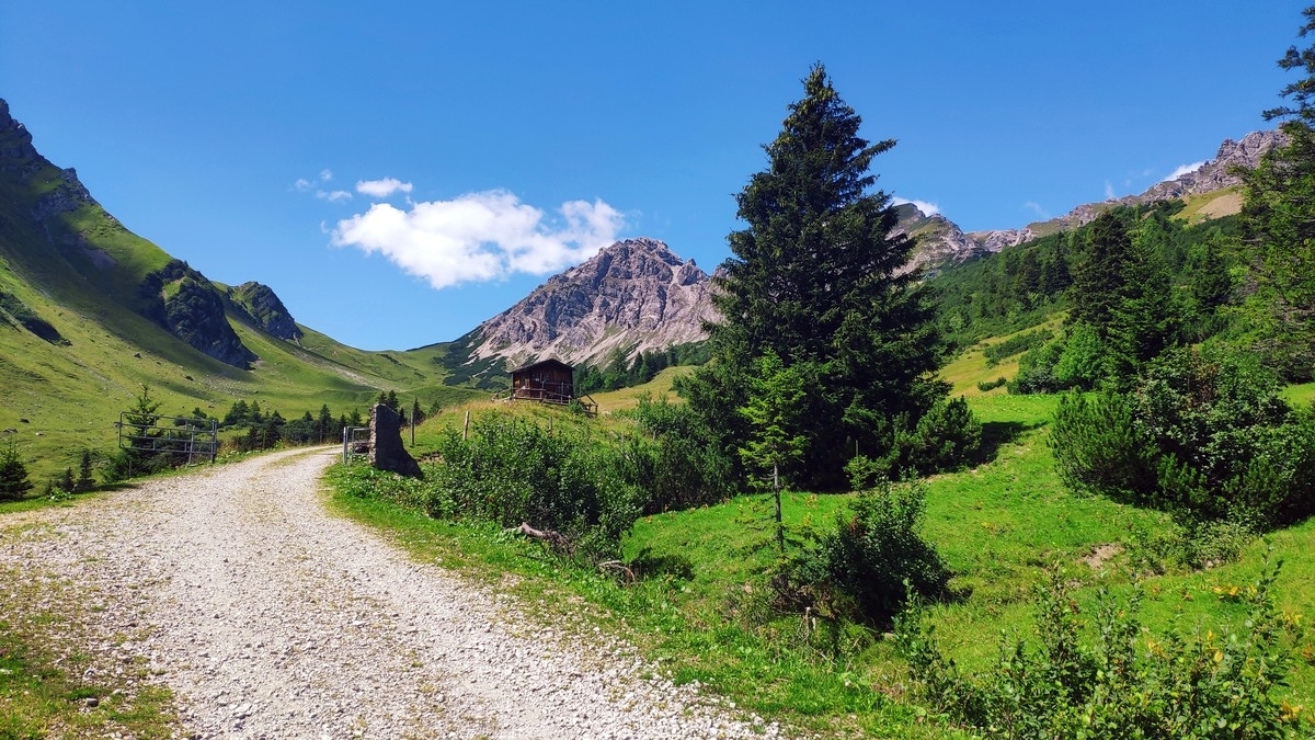 Fundelkopf 04: Die Forststraße führt nun bis zur Alpe Palüd. Fundelkopf 04: Die Forststraße führt nun bis zur Alpe Palüd.
