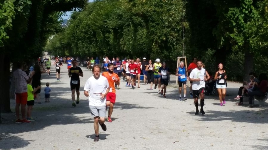 Augartenlauf (C) Veranstalter Augartenlauf (C) Veranstalter