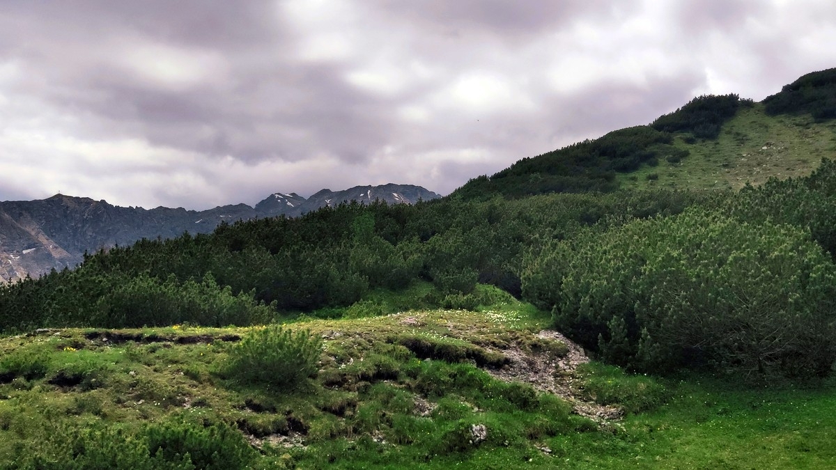 Nördliches und Mittleres Kreuzjoch Nördliches und Mittleres Kreuzjoch