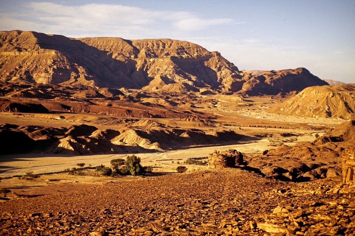 Sinai Sinai