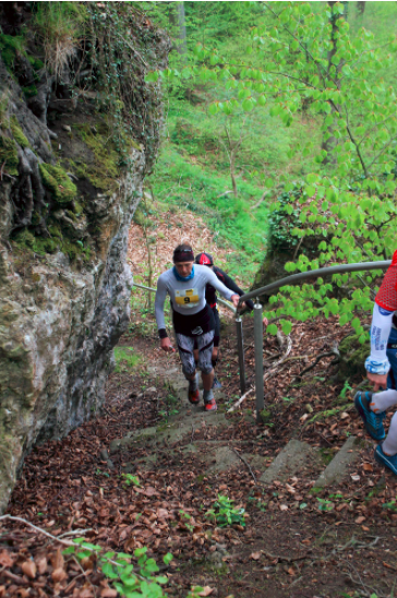 Bilstein Marathon Ultra Trail (C) Veranstalter Bilstein Marathon Ultra Trail (C) Veranstalter