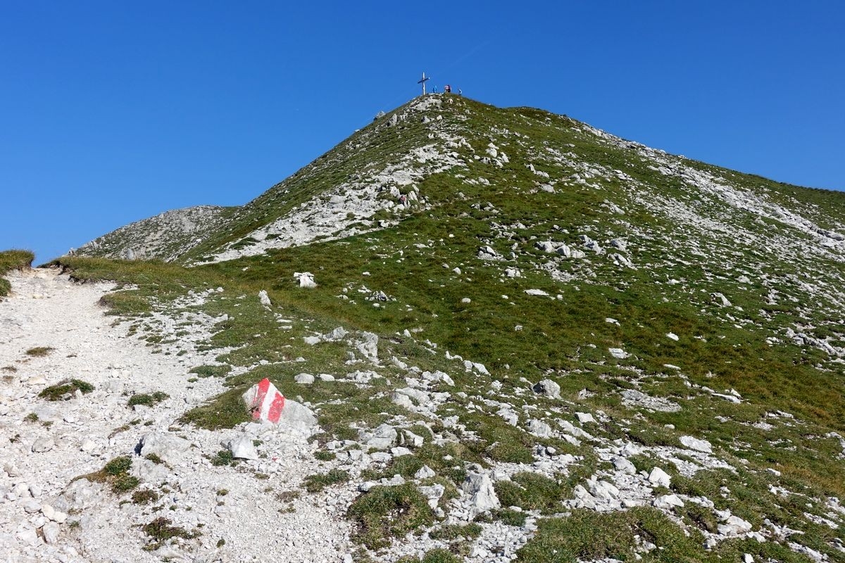 Natterriegel Natterriegel