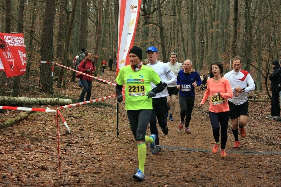 Sägerserie (C) Veranstalter Sägerserie (C) Veranstalter