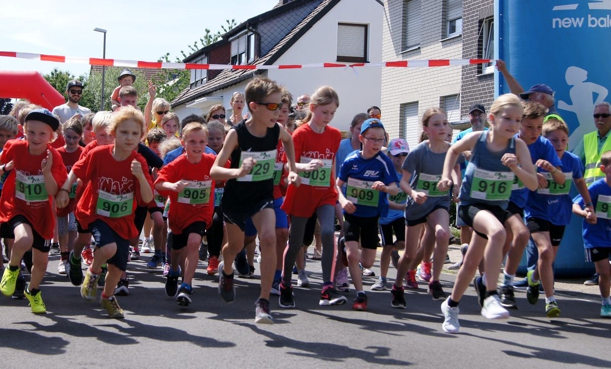 Haseder Feldmarklauf, Foto Veranstalter Haseder Feldmarklauf, Foto Veranstalter