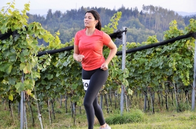 Weingartenhalbmarathon (C) Veranstalter Weingartenhalbmarathon (C) Veranstalter