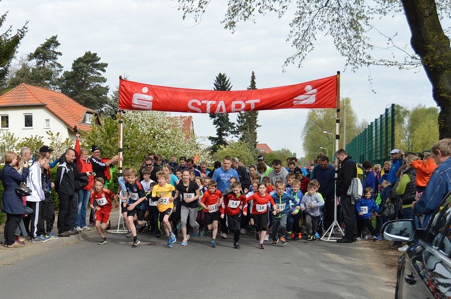 Insellauf Töplitz (C) Veranstalter Insellauf Töplitz (C) Veranstalter