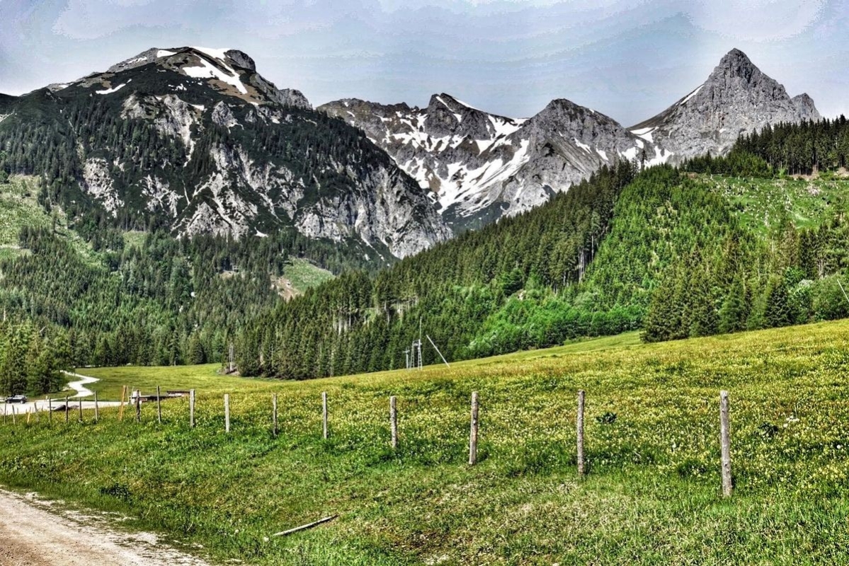 Admonter Kalbling Admonter Kalbling