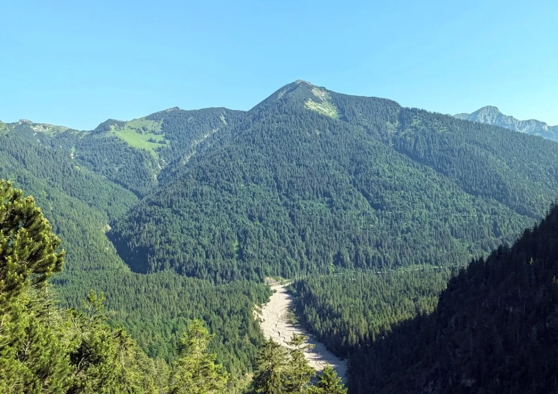 Scheinbergspitze im Juni 2024 Scheinbergspitze im Juni 2024