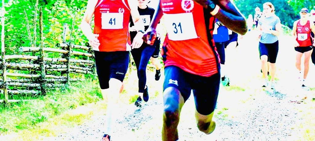 Glasriket Ultra and Half-marathon Glasriket Ultra and Half-marathon