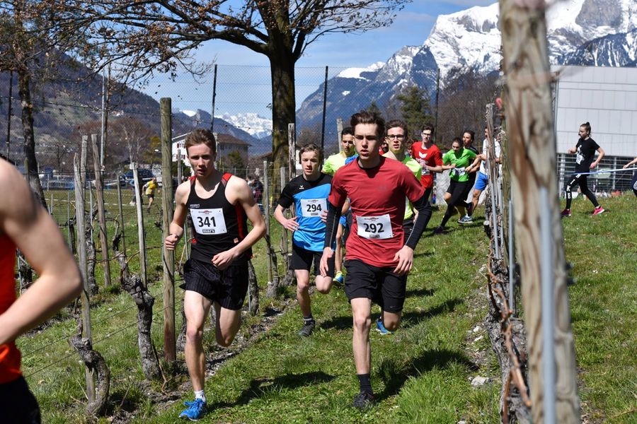 Ochsenweidelauf Zizers (C) Veranstalter Ochsenweidelauf Zizers (C) Veranstalter