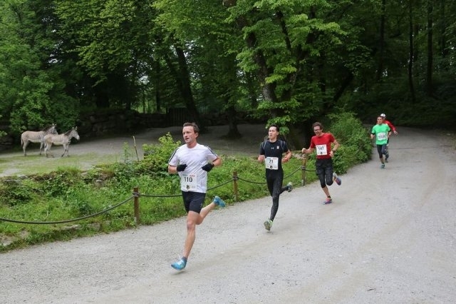 Salzburger Zoolauf (C) Zoo Salzburg Salzburger Zoolauf (C) Zoo Salzburg
