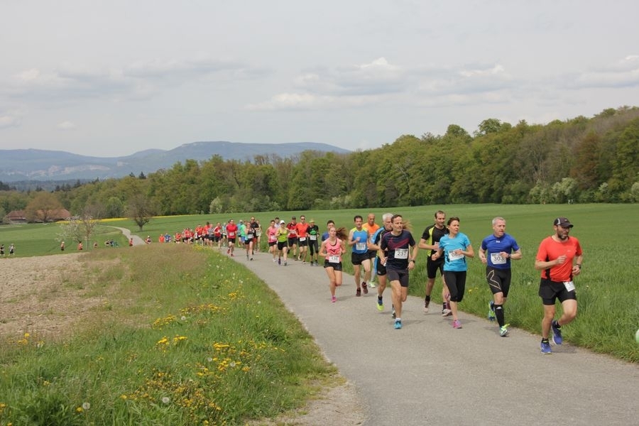 Buchsilauf (C) Veranstalter Buchsilauf (C) Veranstalter