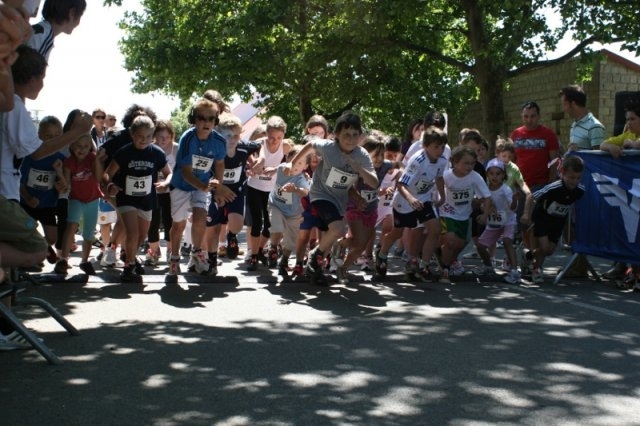 Weinlauf Gols (C) Veranstalter Weinlauf Gols (C) Veranstalter