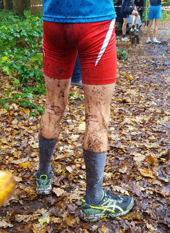 LG Alsternord Herbstwaldlauf, Foto: Veranstalter LG Alsternord Herbstwaldlauf, Foto: Veranstalter