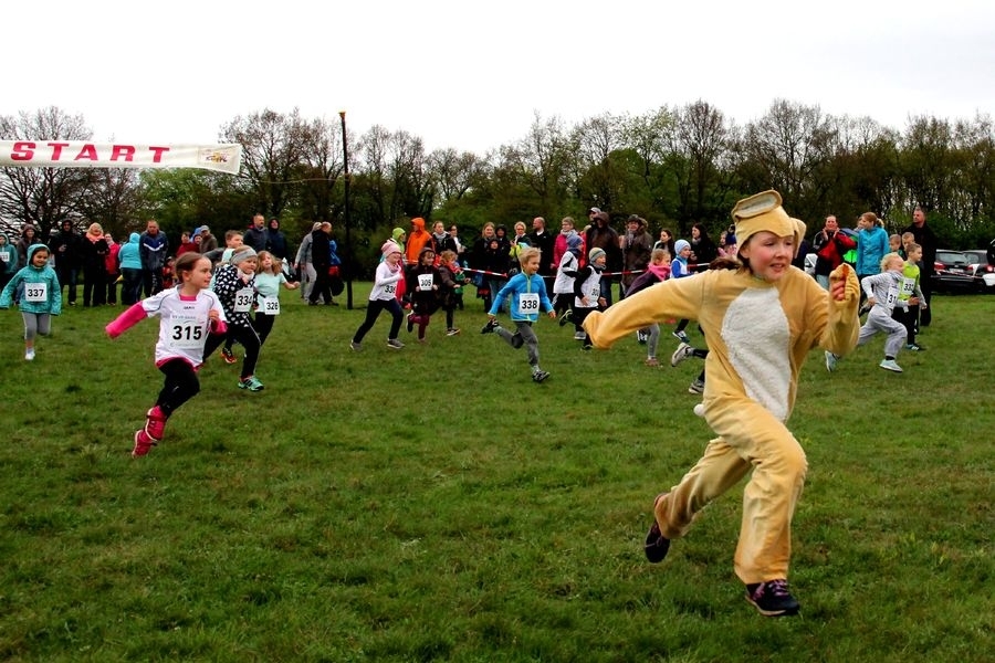 Osterlauf Erpel (C) Rudolf Weichsel / Veranstalter Osterlauf Erpel (C) Rudolf Weichsel / Veranstalter