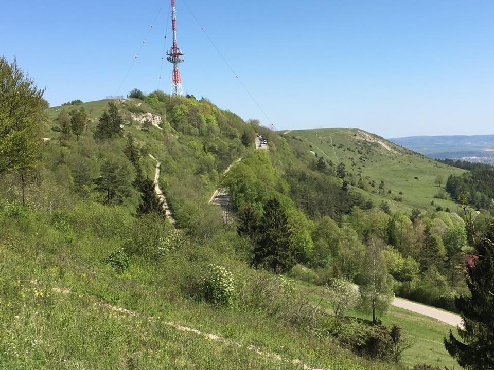 Hesselberglauf Ehingen (Mittelfranken), Foto: Veranstalter Hesselberglauf Ehingen (Mittelfranken), Foto: Veranstalter