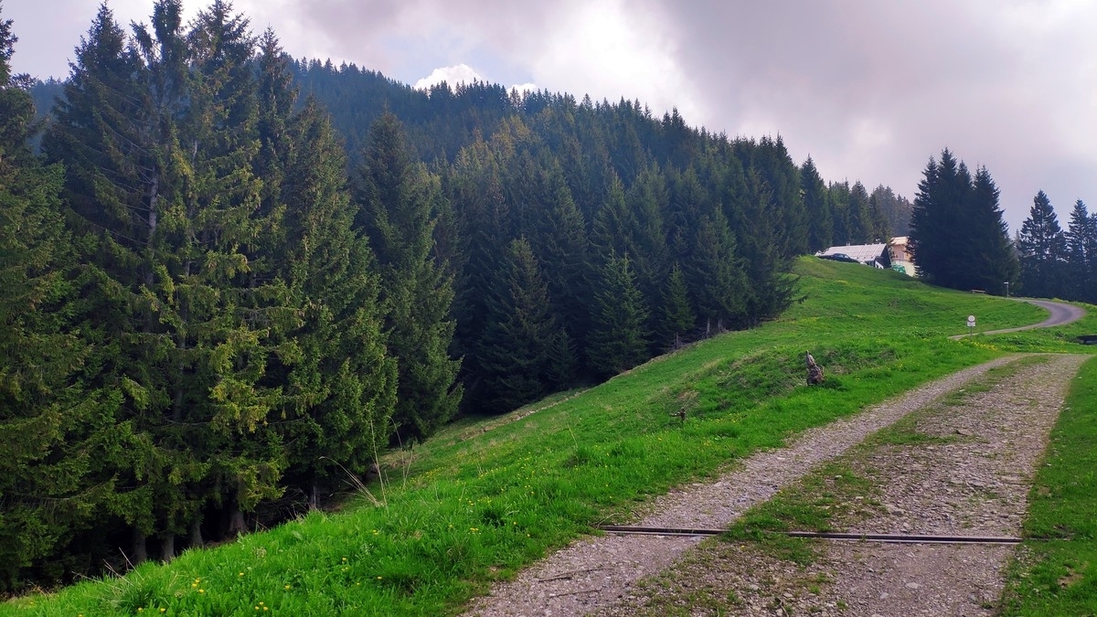 Meßstetter Hütte Meßstetter Hütte