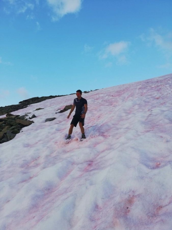 Rostocker Eck Rostocker Eck