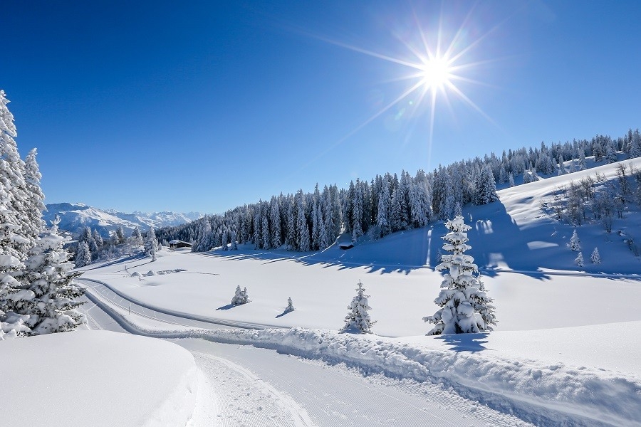 Winterwanderweg (c) Bergbahnen Grüsch-Danusa AG Winterwanderweg (c) Bergbahnen Grüsch-Danusa AG