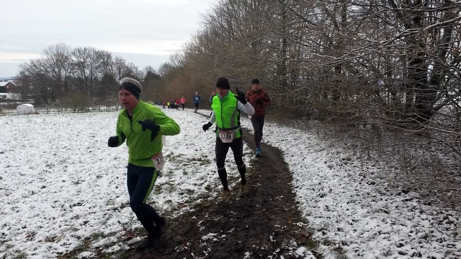 Adventslauf Lage (C) Veranstalter Adventslauf Lage (C) Veranstalter