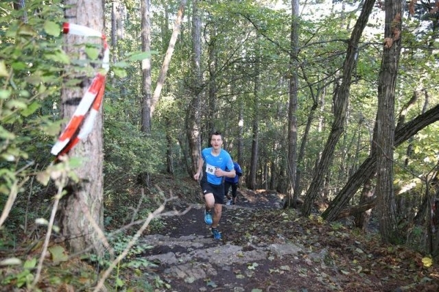 Harzberg Sprintlauf (C) Veranstalter Harzberg Sprintlauf (C) Veranstalter