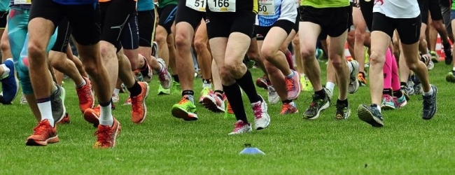 Hochalmlauf Hochalmlauf