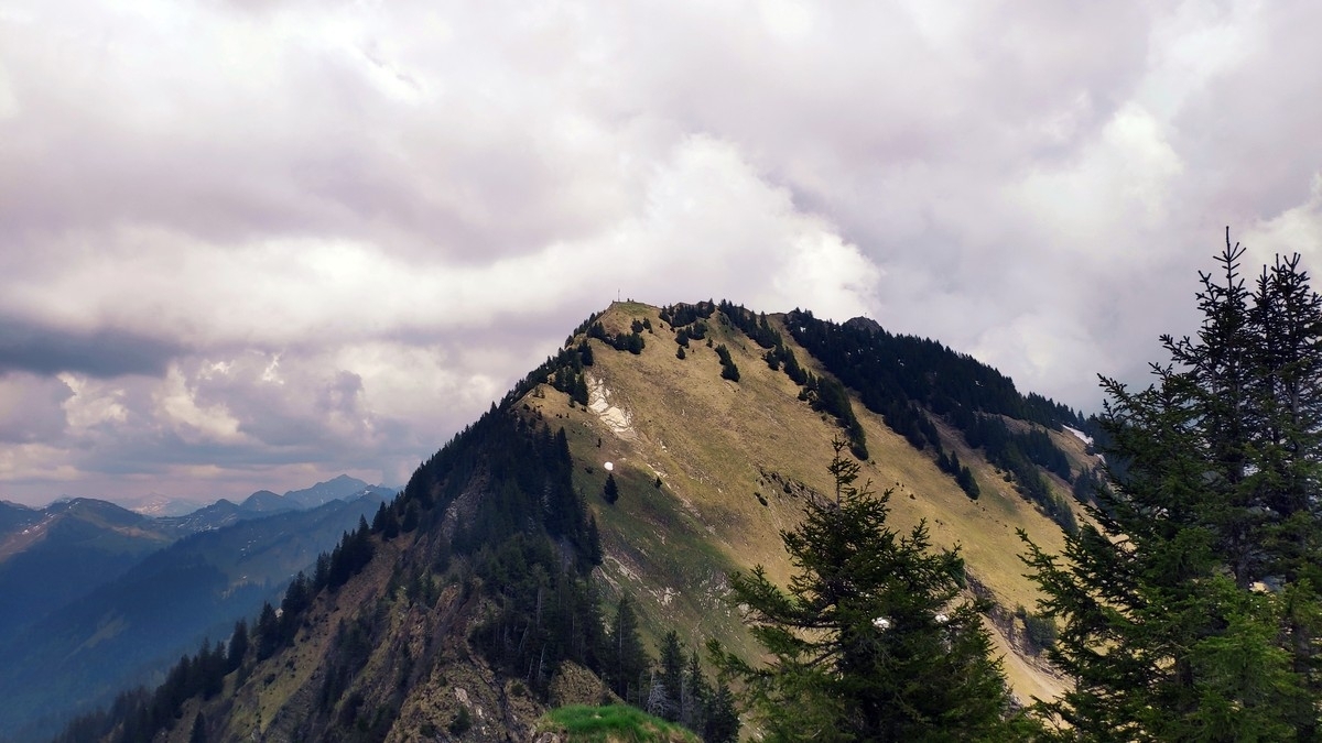 Rappenköpfle Rappenköpfle