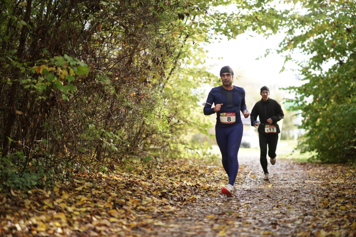 Rostocker Herbstlauf, Foto: Veranstalter Rostocker Herbstlauf, Foto: Veranstalter