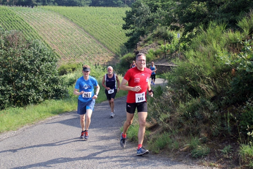 Rotweinwanderweg-Volkslauf (C) Veranstalter Rotweinwanderweg-Volkslauf (C) Veranstalter
