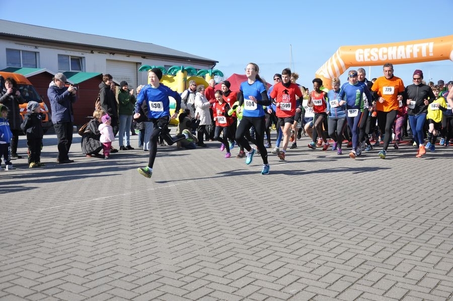 Thiessower Deichlauf (C) Veranstalter Thiessower Deichlauf (C) Veranstalter