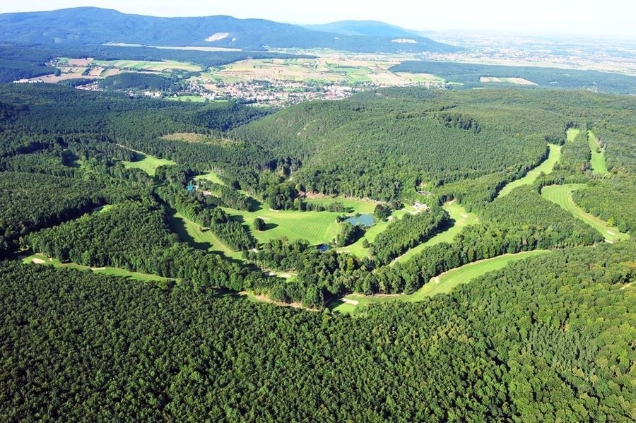 Golfplatzlauf Enzesfeld (C) Veranstalter Golfplatzlauf Enzesfeld (C) Veranstalter